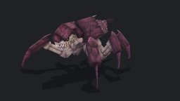 icon.jpg