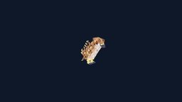 icon.jpg