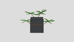 icon.jpg
