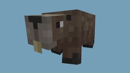icon.jpg