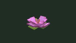 icon.jpg