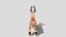 icon.jpg