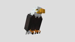 icon.jpg