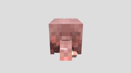 icon.jpg
