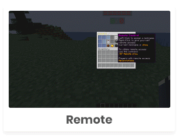 Remote.gif