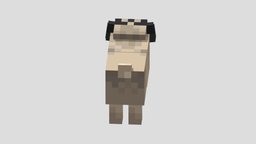 icon.jpg