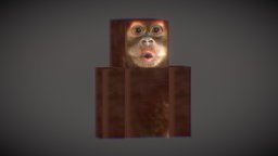 icon.jpg