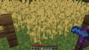 68747470733a2f2f692e696d6775722e636f6d2f6a7444656b4e782e676966.gif