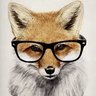 FoxHackCZ