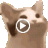 cavemannbigpp