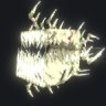 Undead fish