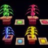 Colored Herbs