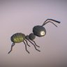 Ant