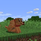 I made a custom resource pack where a wolf named Duke looks like my dog!