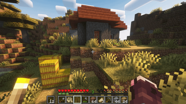 Was just pillaging this village and this villager DID NOT want me in his house. how rude smh