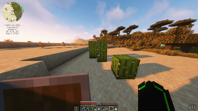 i walked 2000 blocks for a cactus i want to die