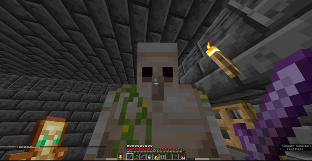 What is wrong with this iron golem?