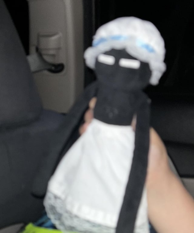 my friend’s 11 yr old nephew went to a school trip and bought a betsy ross doll so he could dress up his enderman