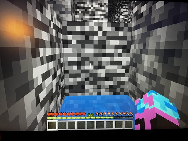 In stuck in my survival world and I need help