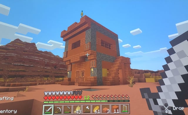 Just started playing caves and cliffs on bedrock. Here’s the house I made in the badlands.