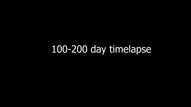 I managed to survive 200 Days of Hardcore Minecraft, this is just a timelapse of what I have built