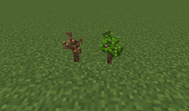 I made some oak trees with chisels and bits :)