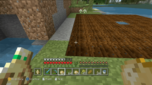 I started an xbox 360 edition world the other day for the nostalgia, and noticed some of my crops growing *really* fast. Anybody know what's going on here?