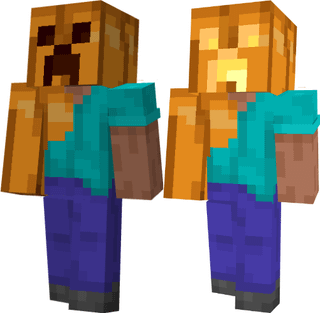 I made a pumpkin steve skin