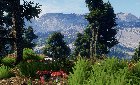 CR landscape