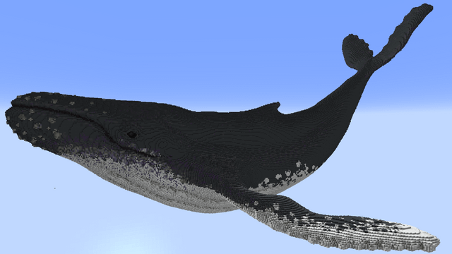 I Made a Humpback Whale (464 blocks long)