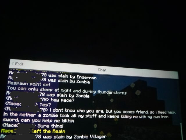 My 14 year old niece was on a Minecraft server with my brother's friend and she couldn't handle the nether on her own.