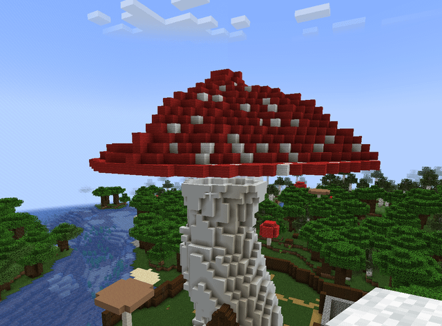 Advice for my big mushroom?