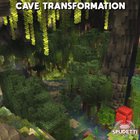 I transformed a cave into a giant underground mangrove