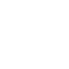 Config Icon