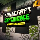 Some of my photos from the Minecraft Experience in Dallas