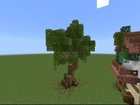 First Custom Tree