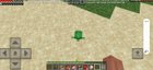 I found baby turtle in my minecraft world