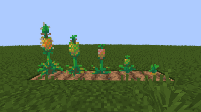 I made the pitcher plant into pineapples