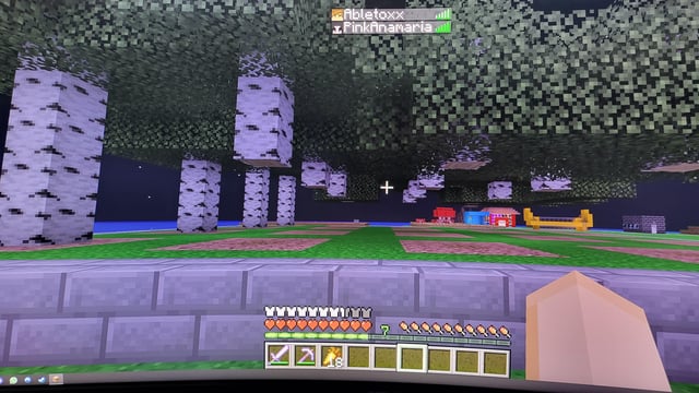 I taught my GF how to play MC, she leaves the trees like this, should I break up with her?