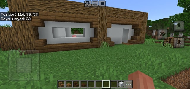 How brim should I build in my survival world?