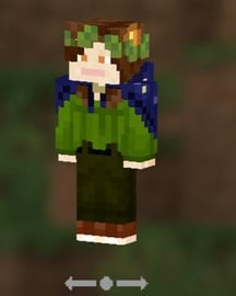 Is my skin good? I used the Character Creation and went for a whimsical druidic king look