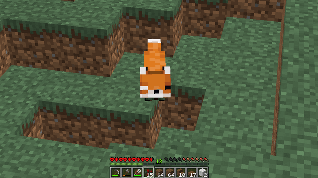 I see a one eye blinded fox in my 1.16.5 hardcore world is this a bug or something?