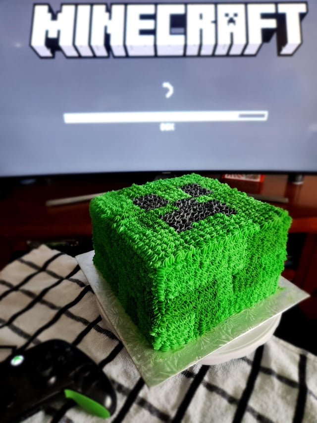 I made a minecraft cake for my birthday!!