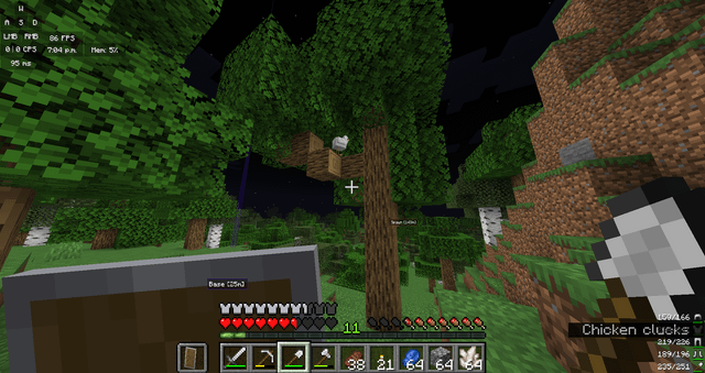 I didnt know Minecraft had birds?