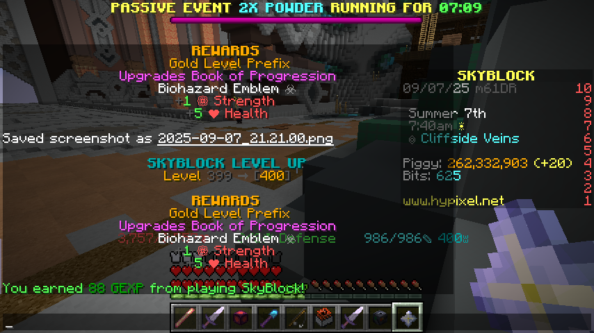Times leveled up to 400: 5