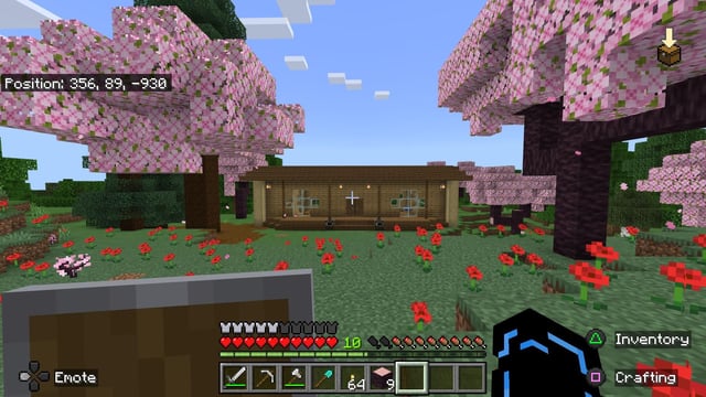 My and my brothers new survival house 