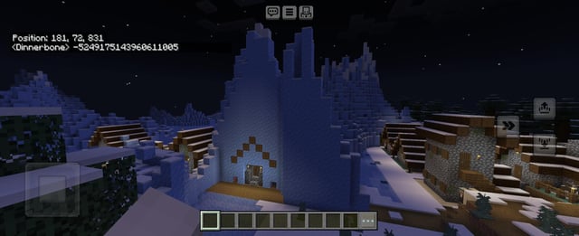 I found a villager living in an ice palace