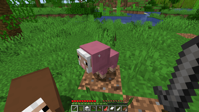 I found baby pink sheep.