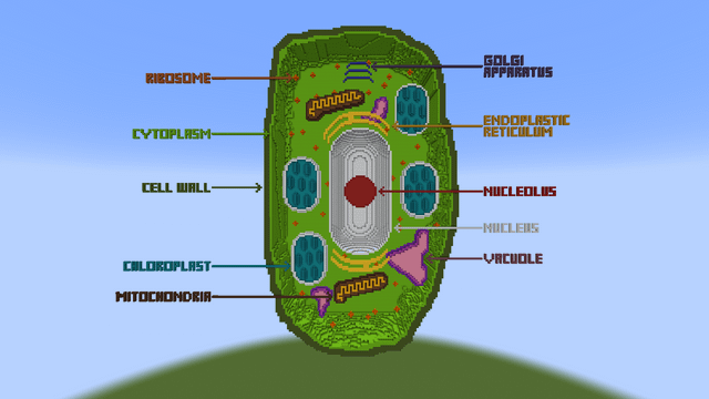 I made a plant cell