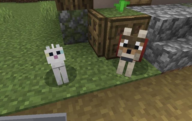 I hadn't realized that there are cats with heterochromia in Minecraft